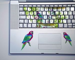 stickers personnaliser clavier